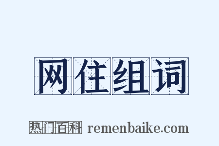 网住组词是什么意思的图片